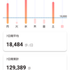 週間歩記録　2024/2週　1/8(月)～14(日)　129,389歩