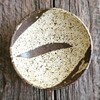 土曜日、晴れたり曇ったり。