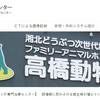 モルヌピラビルは諸刃剣？【FIP専門治療センター】誤情報に惑わされる飼主様が・・【在庫有】