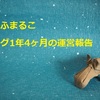 ブログ1年4ヶ月の運営報告