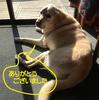 今年も