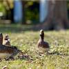 自然公園でのんびり散歩♪