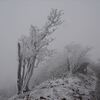 高見山「ごちそうさま」