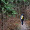 大寒の三辻山遊山　冬枯