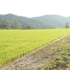 夏休み②〜宿題のやり方〜