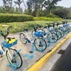 シェアリング自転車が使える様になりました