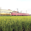 田園風景をゆく還暦の赤い電車