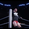 ［wwe2k19］PPV When Worlds Collide　part1［ユニバースモード録］