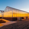 米国の植物工場市場／ノース・ダコタ州立大学が約40億円にて植物工場・研究施設を完成