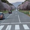 種付け