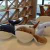 道の駅キラメッセ室戸　鯨館　クジラくじ