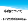 疼痛について -下行性疼痛抑制機構-