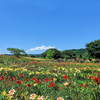 群馬県の地味な絶景　アイリスの丘