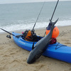 Kayak Fishing for Bluefin Tuna: Cape Ann, Massachusetts