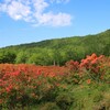 赤城山つつじハイキング