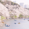 千鳥ヶ淵の桜をルミックスDMC-GM1で撮影♪