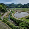 田植え前