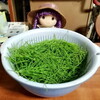 ササニシキ・春先のスギナ・三丁目のコーヒー屋・スギナドクダミ茶・ヘーゲル「法の哲学」産業身分・普遍的身分