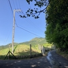 久々の蓬莱山登山