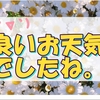 良いお天気だった休日の雑記～洗車と自分への誕生日プレゼント話～