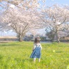 年齢と桜