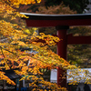 奈良・談山神社紅葉  5点