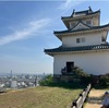 丸亀城～善通寺駐屯地開設７５周年ブルーインパルス展示飛行