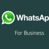 WhatsApp Business App APK Leaked in APKMirror 