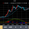 1/3 ビットコインFXトレード