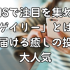 SNSで注目を集める「ゲイリー」とは？猫が届ける癒しの投稿が大人気