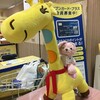 うさちゃん、イトーヨーカドーに行く♪ジェラートとシュークリーム♪