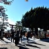 鎌倉の「鶴岡八幡宮」で見事な紅葉見物！！（１）