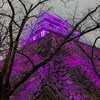 福岡城址ライトアップ