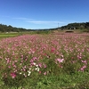 20161029秋の芋煮会　の巻