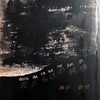 泥だらけの純情　藤原審爾