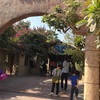 Kuwait zoo