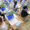 ６／２９　１年生　アサガオの観察