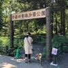 日高市の巾着田へ行ってきました！