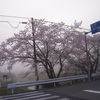 雲辺寺