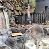 絶景！滝が見える温泉 赤川温泉「赤川荘」