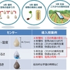 ドコモ、枚方市・枚方市教育委員会と「教育情報化の推進に関する連携協定」締結