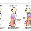 姿勢が良いとは呼吸が深い事