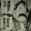 ルフィの服装が変化 前半 一体誰がルフィの服を作ってる Oceanview ルフィの服装が変化 前半 一体誰がルフィの服を作ってる Oceanview