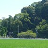 式内社、意賀美神社（おがみじんじゃ）参拝。