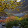 涸沢の紅葉を写真に撮ってきた2016