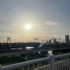 先導