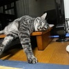 やっと週末