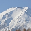 高原は小春日和のぽかぽか陽気となりましたが富士山ははや厳冬の装いです。