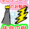 惑星の繋がり⑯　生命の樹　ホロスコープのお勉強