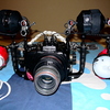 Nauticam(ノーティカム)7Dハウジング　2本目のテスト撮影